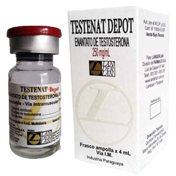 Testenat 4ml (Enantato 250mg/4ml) Landerlan